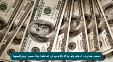 صعود مفاجئ.. الدولار يتجاوز 48.55 جنيه في تعاملات بنك مصر اليوم السبت